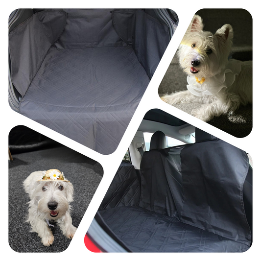 Ultimate Comfort and Protection for Your Furry Friends and your Tesla
